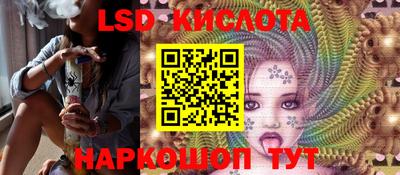 шишки Заволжье