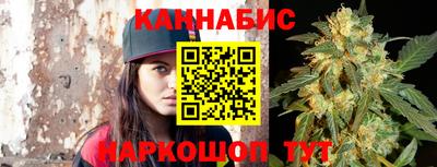 шишки Заволжье