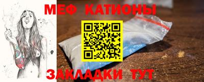 шишки Заволжье