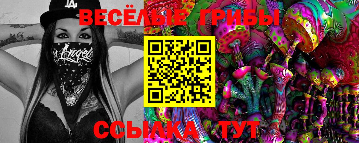 Галлюциногенные грибы Psilocybine cubensis  Вход с VPN  Люберцы  Псилоцибиновые грибы ЛСД 