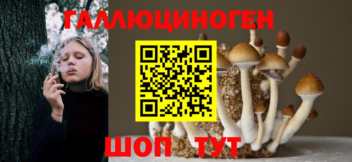 Галлюциногенные грибы Magic Shrooms Люберцы
